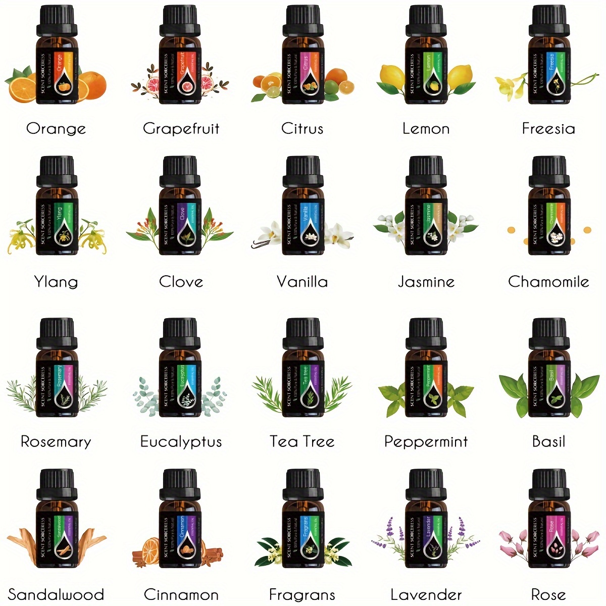 20 قطعة/المجموعة مجموعة الزيوت - مراجعة Perfume Fragrance Diffuser وسعره